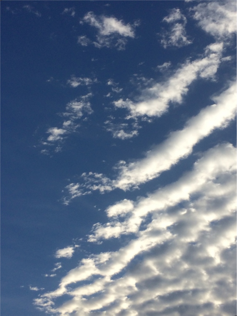 初秋の雲