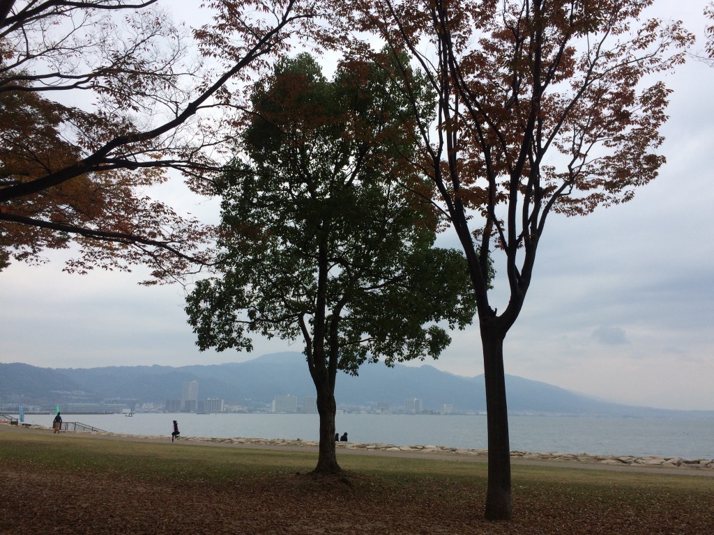琵琶湖
