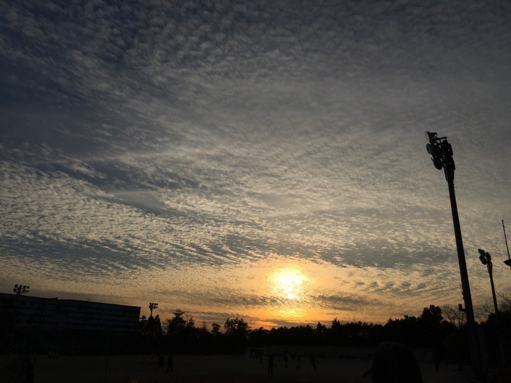 冬の空