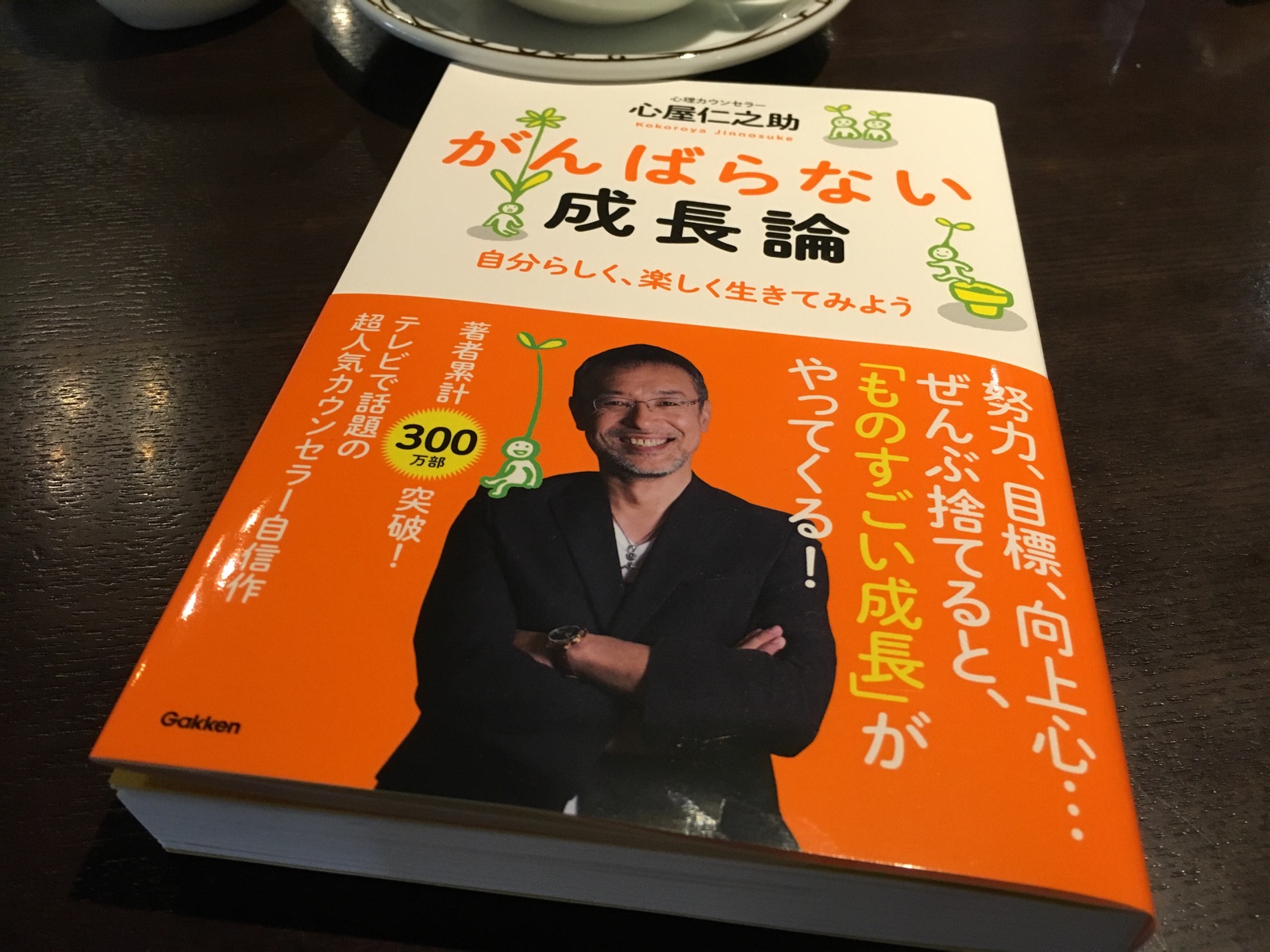 心屋式 がんばらない成長 目標 努力 がんばり を捨てて ゆるゆる だらだら してみた 16年3月実行レビュー 地球に生きる 自然に生きる